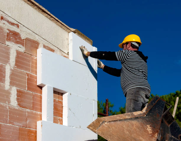 Best Cellulose Insulation in Ringgold, GA