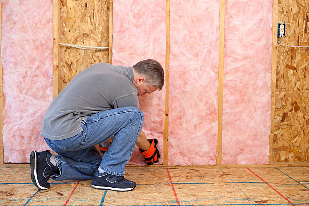 Best Specialized Insulation Services in Ringgold, GA